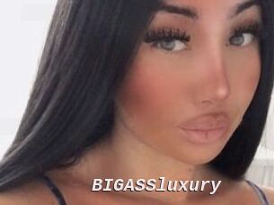 BIGASSluxury