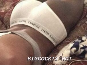 BIGCOCKTS_HOT