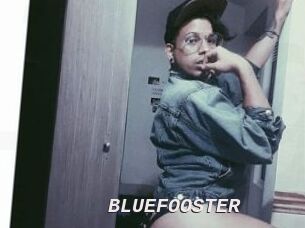 BLUEFOOSTER