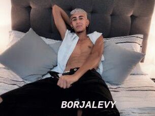 BORJALEVY