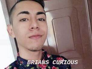 BRIANS_CURIOUS