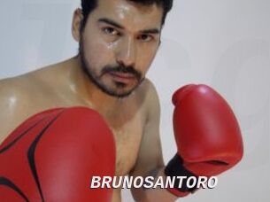 BRUNOSANTORO