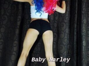Baby_Harley