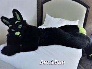 BaniBun