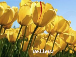 BelleB3 Live Camgirls Sex