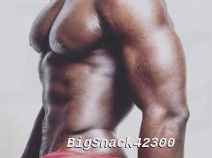 BigSnack42300