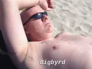 Bigbyrd