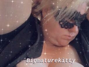 Bigmaturekitty