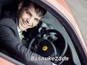 Bisnuke23cm