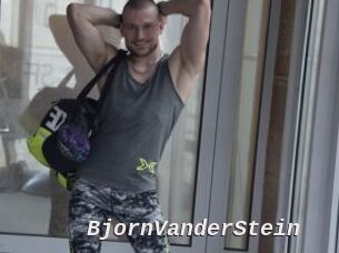 BjornVanderStein