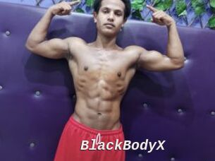 BlackBodyX