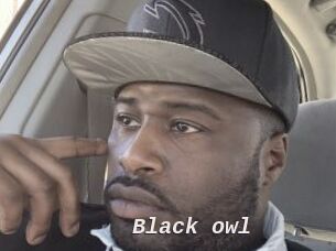 Black_owl