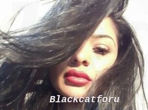 Blackcatforu