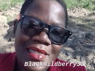 Blackwildberry33