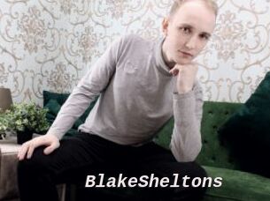 BlakeSheltons