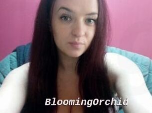 BloomingOrchid