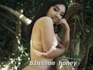 Blossom_honey