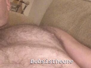Bobsistheone