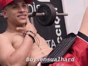 Boysensualhard