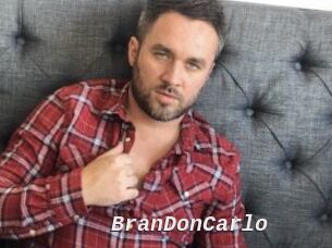 BranDonCarlo Live Camgirls Sex