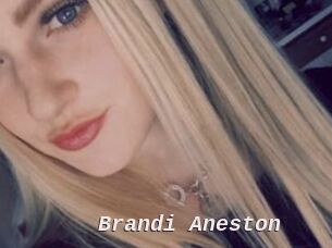 Brandi_Aneston