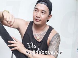 BrandonHarry Live Camgirls Sex