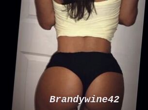 Brandywine42