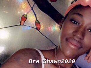 Bre_Shawn2020