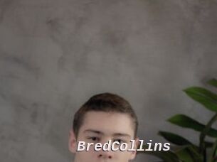 BredCollins