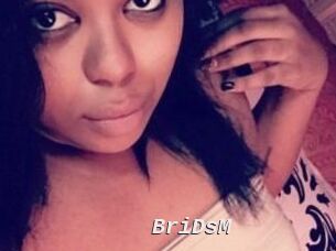 BriDsM