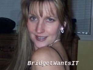 BridgetWantsIT