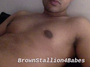 BrownStallion4Babes