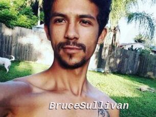Bruce_Sullivan