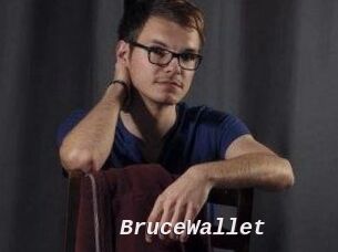 BruceWallet