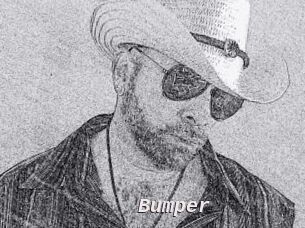 Bumper