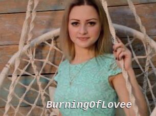 BurningOfLovee