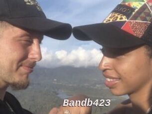 Bandb423