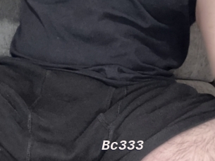 Bc333