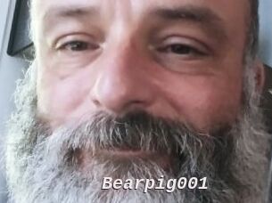 Bearpig001