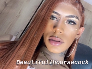 Beautifullhoursecock