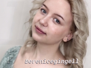 Berenicegingell