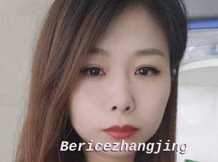 Bericezhangjing