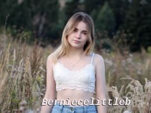 Berniecelittleb