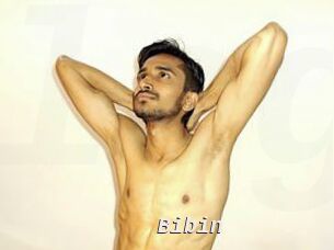Bibin