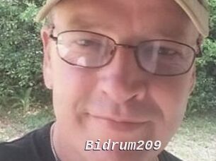 Bidrum209