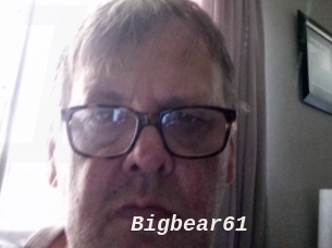 Bigbear61