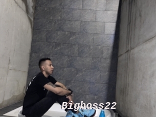 Bigboss22