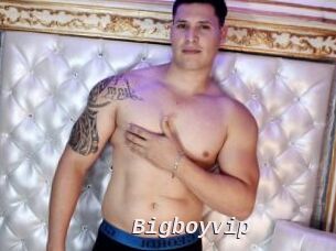 Bigboyvip
