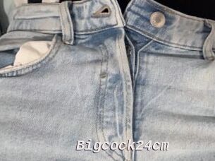 Bigcock24cm