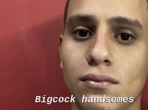 Bigcock_handsomes
